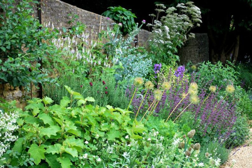 Greenhouse borders July 2009