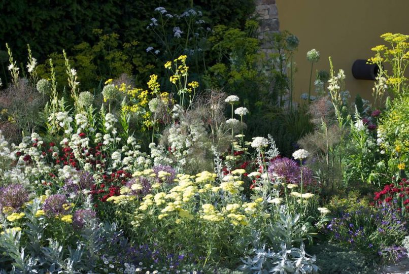 The Daily Telegraph Garden - Designer Cleve West - Best in Show