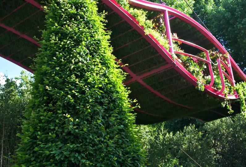 Irish Sky Garden, Designer Diarmuid Gavin