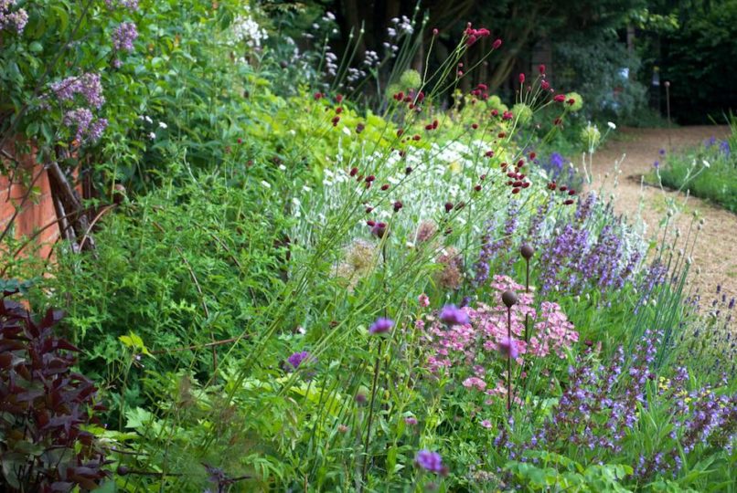 Greenhouse Borders