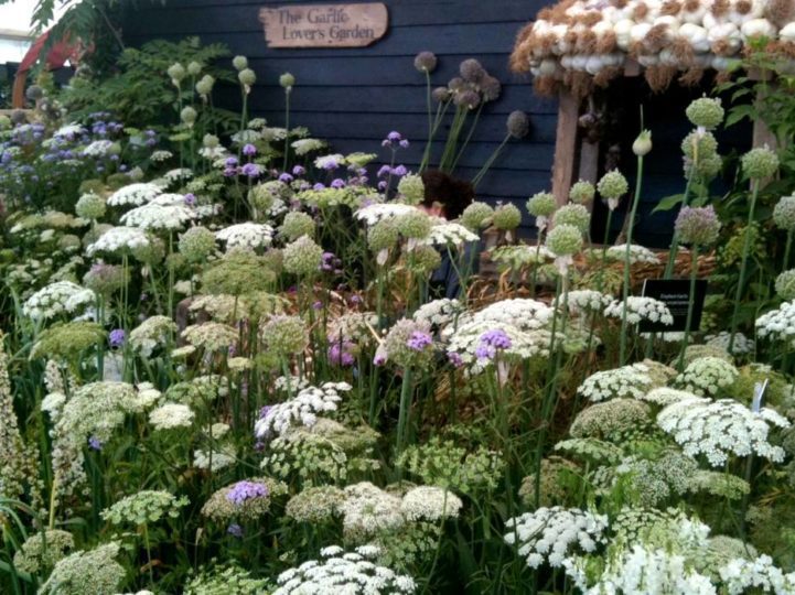 Gold Award winning Garlic Farm Hampton Court