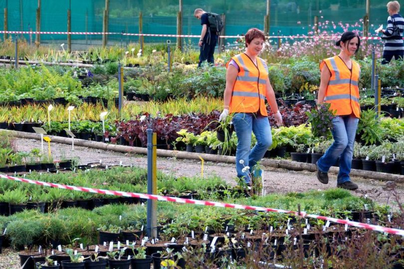 Crocus Nursery Open Day