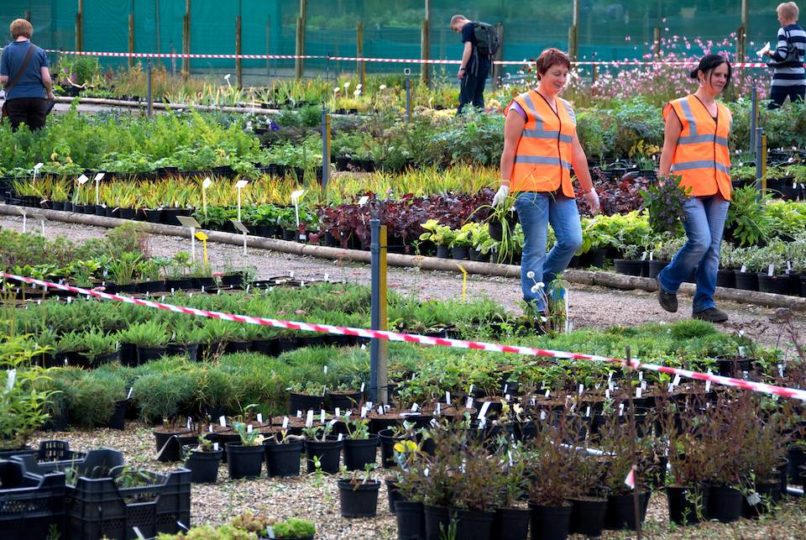 Crocus Nursery Open Day 2011