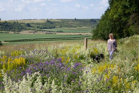Sarah Raven in the wild flower meadow at Magdalen Hill Down