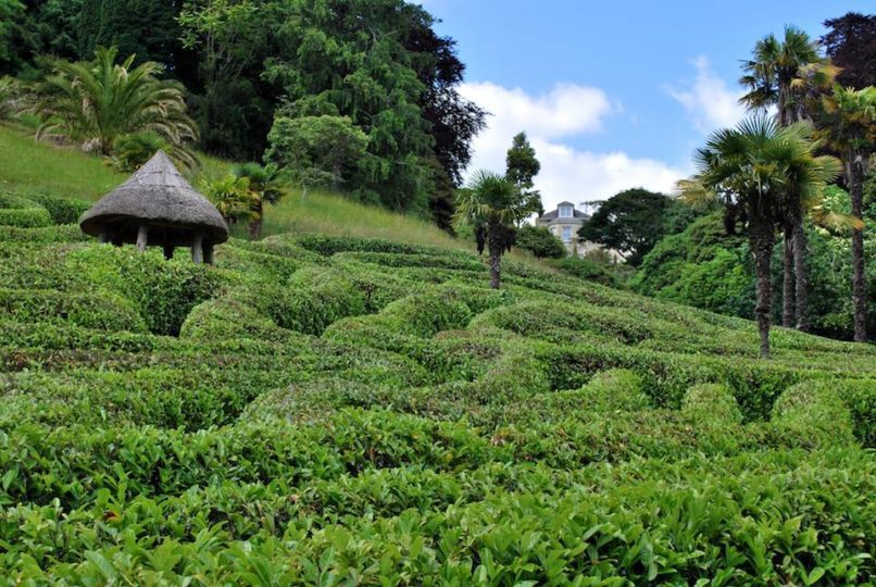 Glendurgan Garden