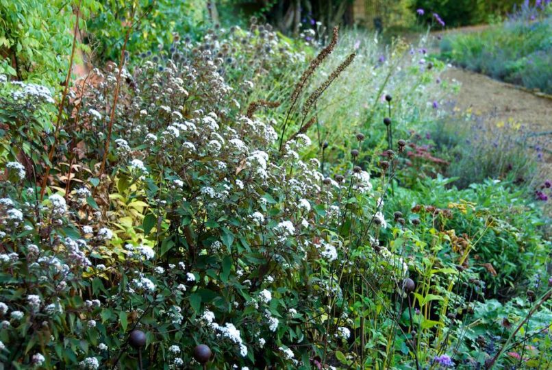 Greenhouse Borders (22/10/2011)