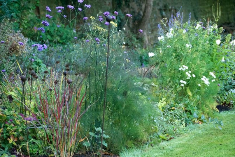 Greenhouse borders in Autumn