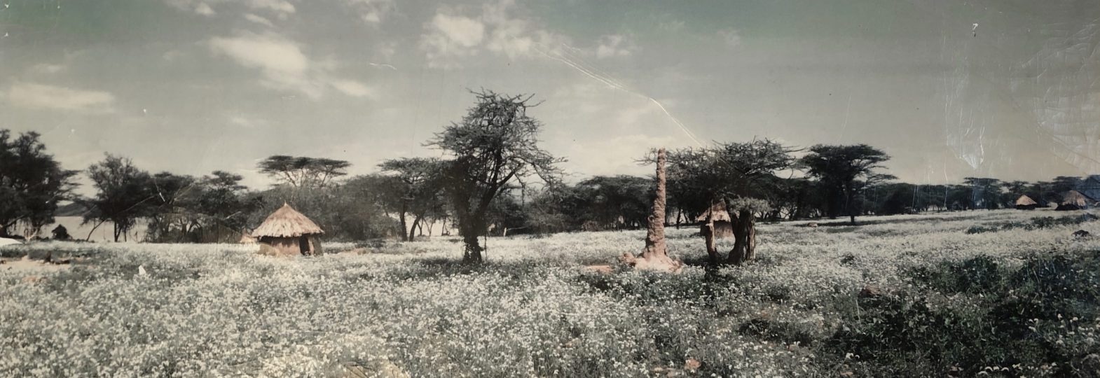 Baringo, Kenya after the rains