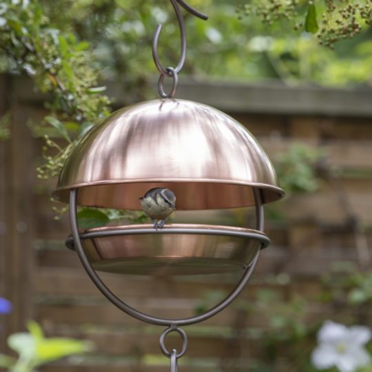 Hanging bird feeder dome
