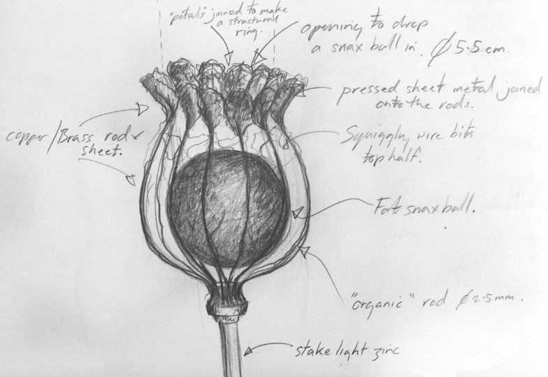 Poppy seed head fat snax feeder sketch