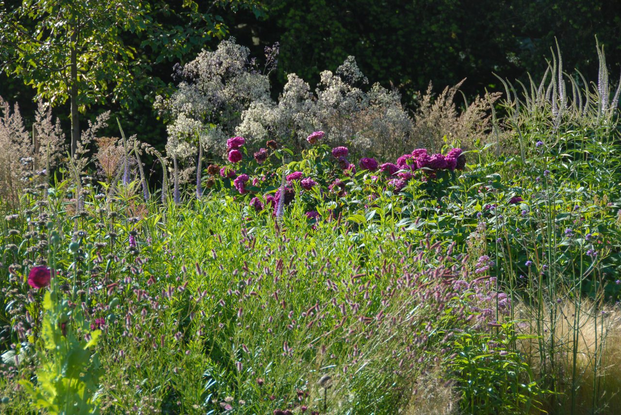 Home Oxonian Gardener