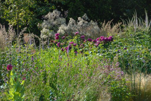 Home - Oxonian Gardener