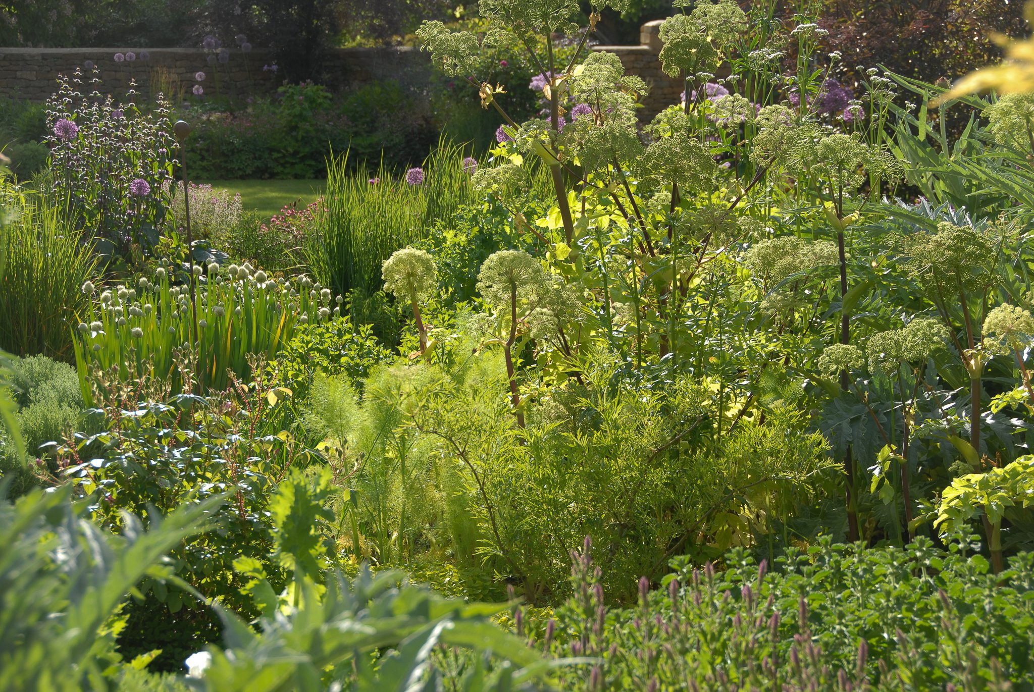 Home Oxonian Gardener