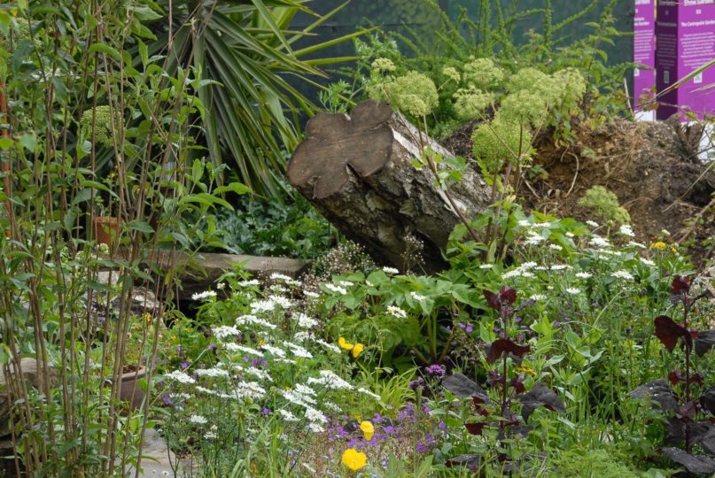 Centrepoint garden by Cleve West